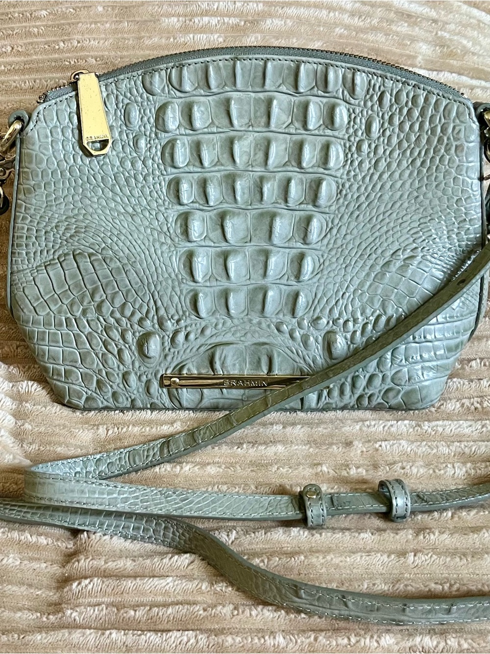 Brahmin Croc-Embossed Crossbody in Light Sage